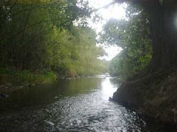 Lovoni River